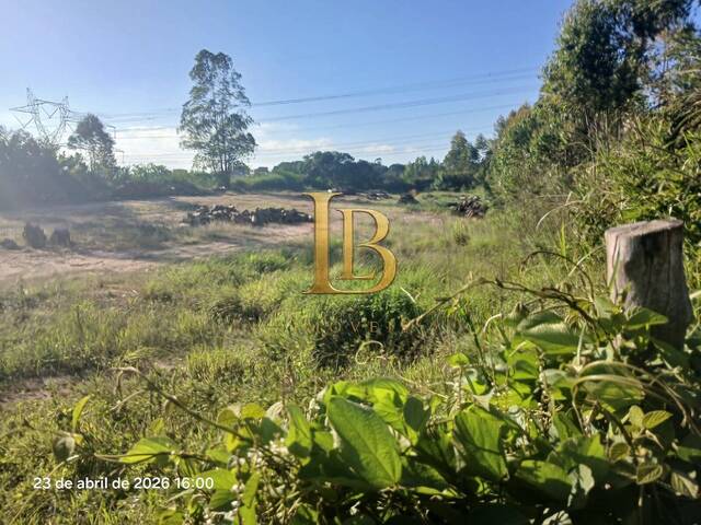 Área para Venda em Mairiporã - 4