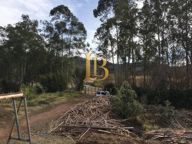 Área para Venda em Atibaia - 5